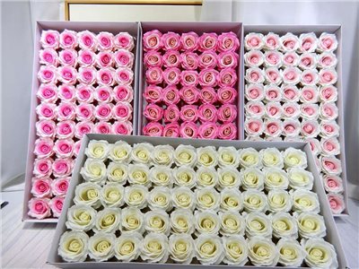 新曼塔玫瑰香皂花頭50入(202)