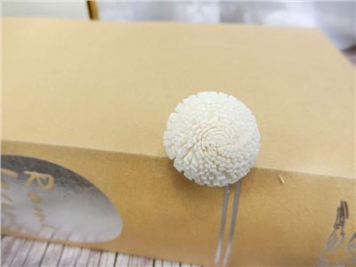 泰國索拉圓仔花2.5cm(10入)白