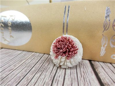 泰國索拉圓仔花2.5cm(10入)粉心