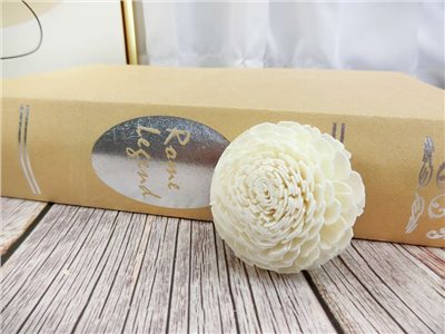 泰國貝力5cm(10入)白
