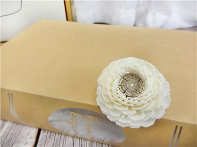泰國陸蓮5cm(10入)白
