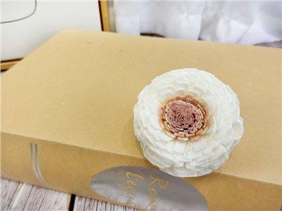 泰國陸蓮5cm(10入)粉心