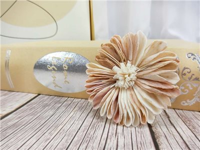 泰國雙色太陽花6cm(5入)白