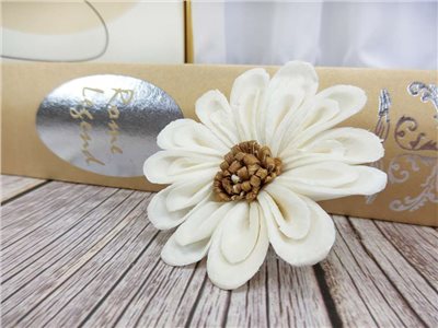 泰國木心太陽花6cm(5入)白