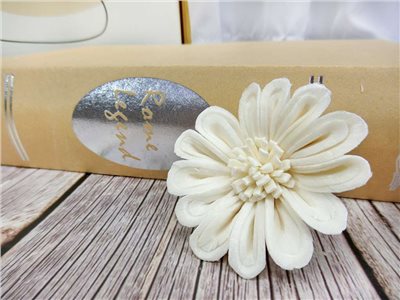泰國新太陽花6cm(5入)白