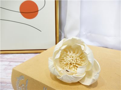 索拉牡丹花6cm(8)10入-白*