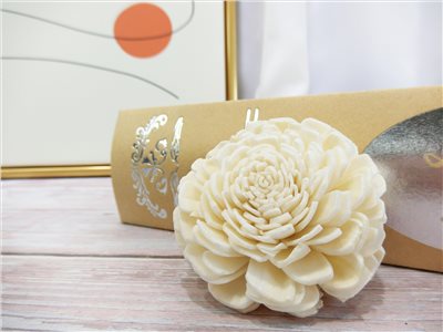 索拉貝力6cm(8)10入-白*