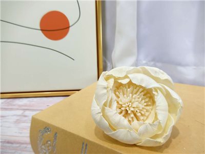 索拉牡丹花8cm(8)10入-白*