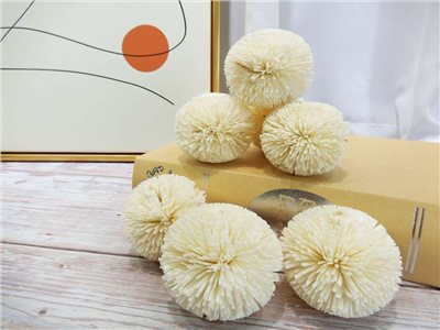 索拉乒乓6cm(8)10入-白*