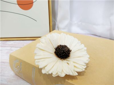 索拉向日葵8cm(8)10入-白*