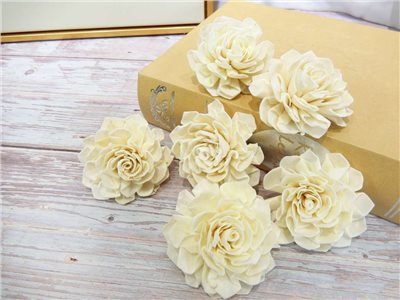 索拉大理花6cm(8)10入-白*