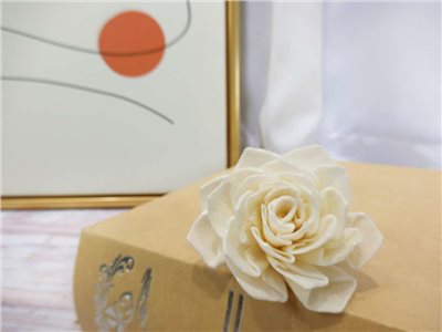 索拉大理花4cm(8)10入-白*