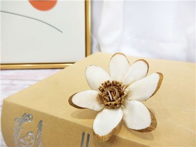 索拉雛菊5cm(8)10入-白*