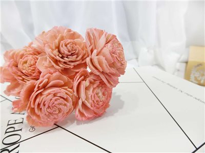 索拉貝力4cm(8)5入-染*