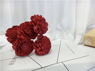 索拉貝力6cm(8)5入-染*