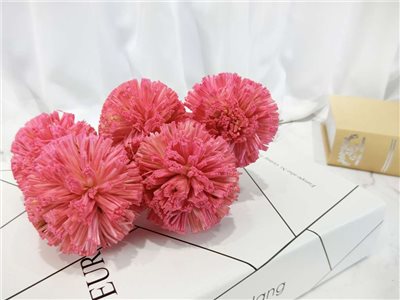 索拉乒乓6cm(8)5入-染*