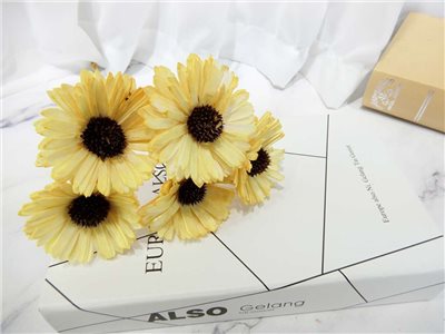 索拉向日葵6cm(8)5入-染*