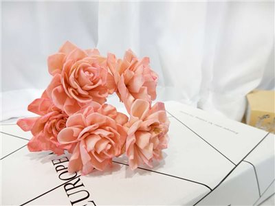 索拉大理花4cm(8)5入-染*