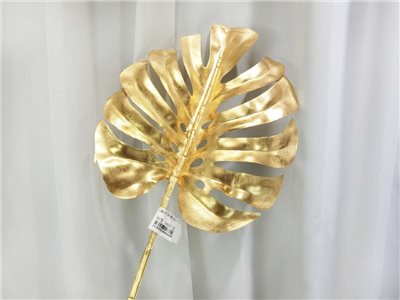 大龜背葉噴金(7)