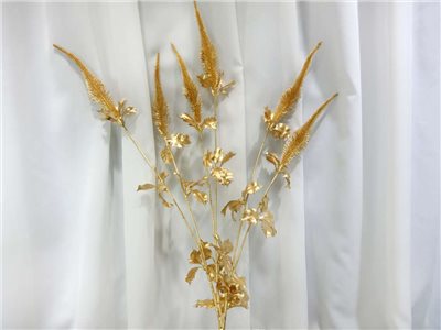 新鼠尾噴金(71)