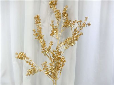 圓片金豆草噴金(71)
