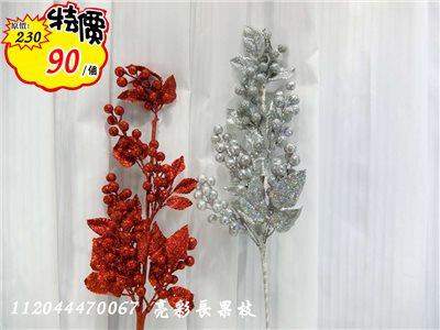 亮彩長果枝(47)   特價90