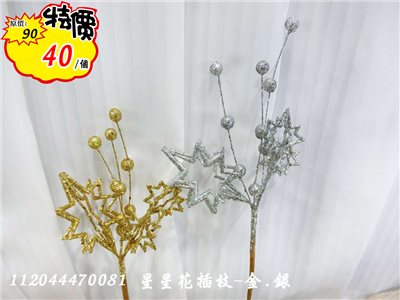星星花插枝(47)金.銀 特價40