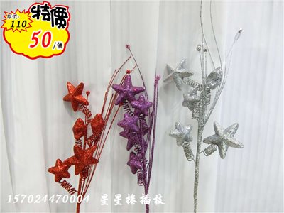 星星捲插枝(47)  特價50