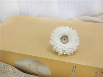 泰國索拉重瓣雛菊白心5cm(10入白