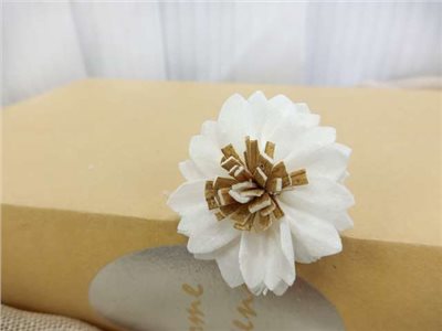 泰國索拉波斯菊  4cm(10入)白