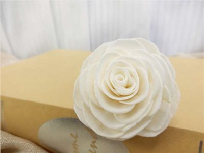 泰國索拉玫瑰6cm (10入)白