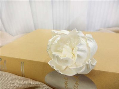 泰國索拉牡丹6cm (10入)白