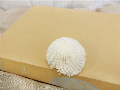 泰國索拉圓滿花  5cm(10入)白