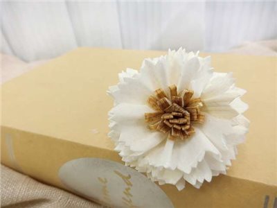 泰國索拉木心康乃馨6cm(10入)白