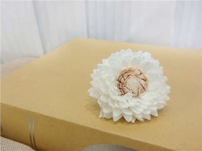 泰國索拉重瓣雛菊粉心5cm(10入白