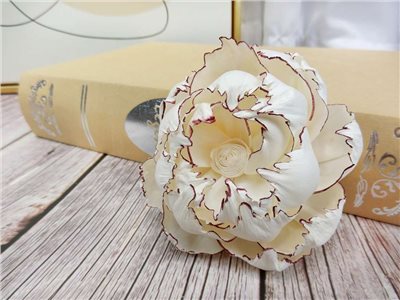 泰國紅邊牡丹9cm(3入)白