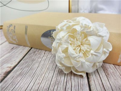 泰國芍藥牡丹8cm(5入)白