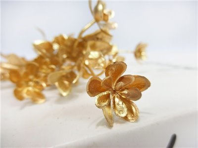火焰花噴金(89)