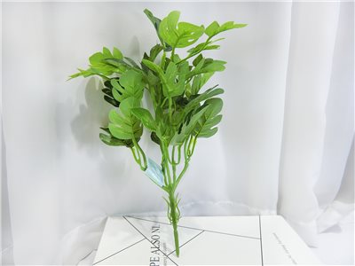 小7頭龜背葉(63)