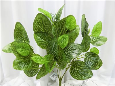 五叉網紋葉小把(83)