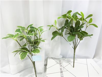 7吋小7頭細葉榕綠.白(28)