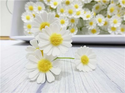 洋甘菊香皂花頭50入(202)
