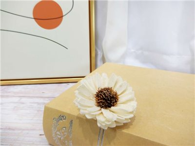 索拉向日葵6cm(8)10入-白*