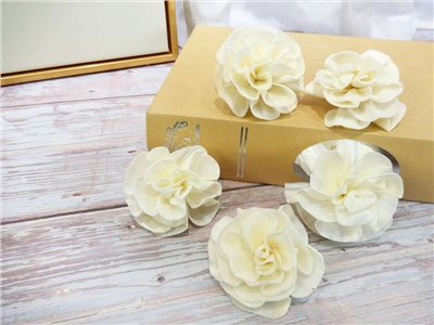 索拉千層花5cm(8)10入-白*