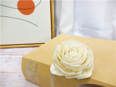 索拉美眉6cm(8)10入-白*